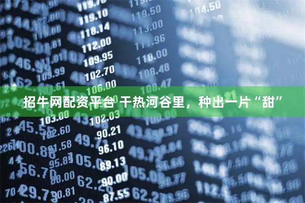 招牛网配资平台 干热河谷里，种出一片“甜”